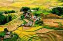 TƯ VẤN ĐẦU TƯ NƯỚC NGOÀI - tu van dau tu nuoc ngoai - THÀNH LẬP CÔNG TY PHÂN PHỐI, XUẤT NHẬP KHẨU VỐN NƯỚC NGOÀI